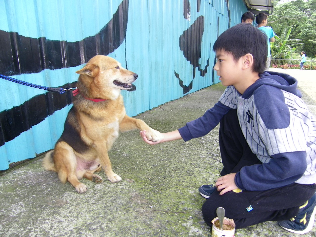 寵物伊甸園 -《動物保護教育》學童參訪動物之家校外教學 體驗毛寶貝互動接觸